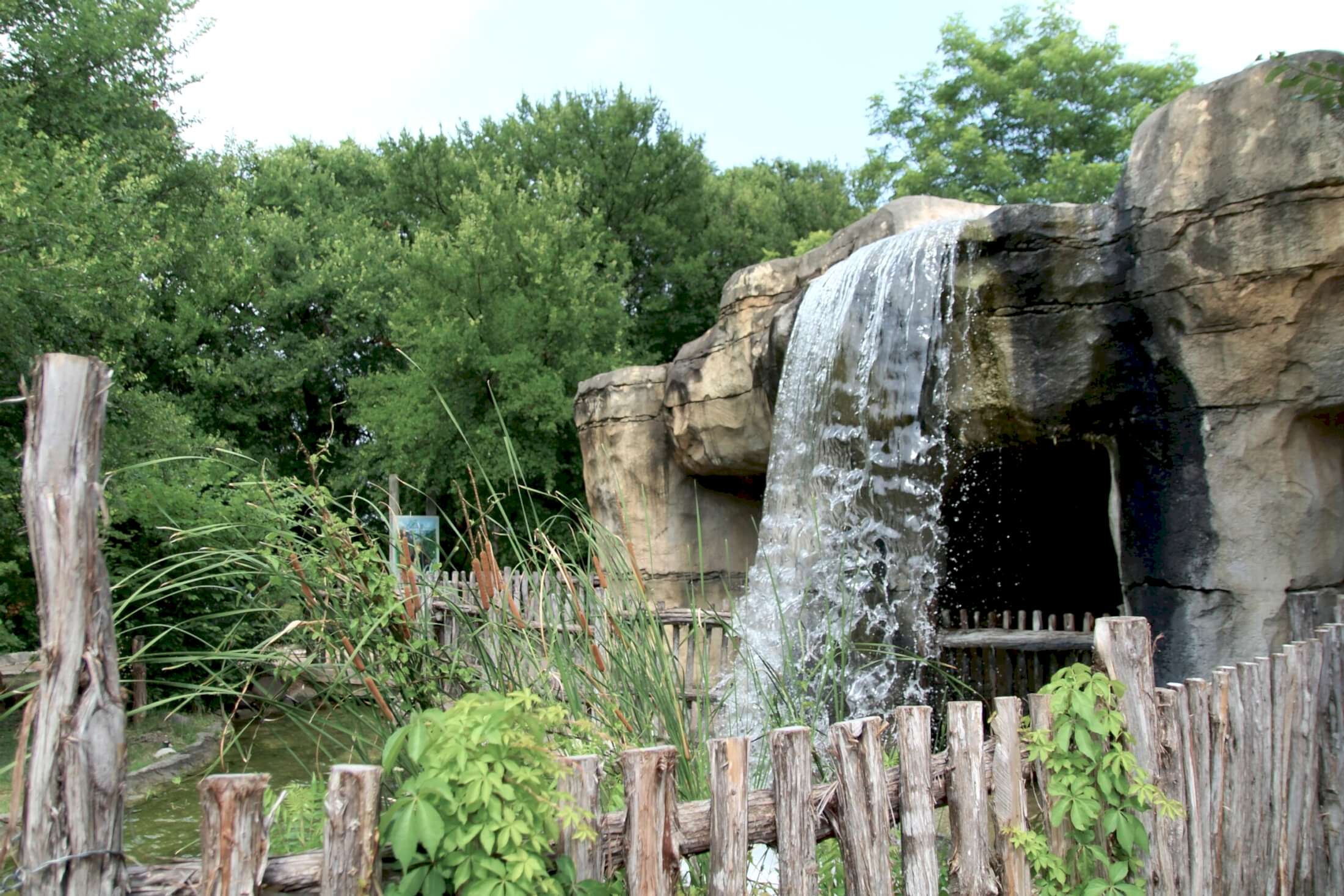 Cameron Park Zoo waterfall